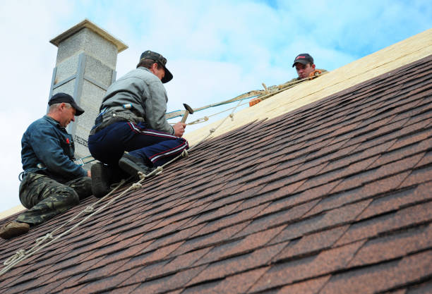 Best Gutter Installation and Roofing  in Grenelefe, FL